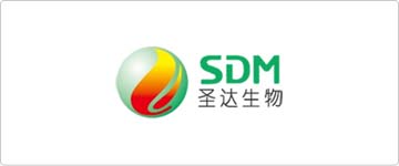 SDM